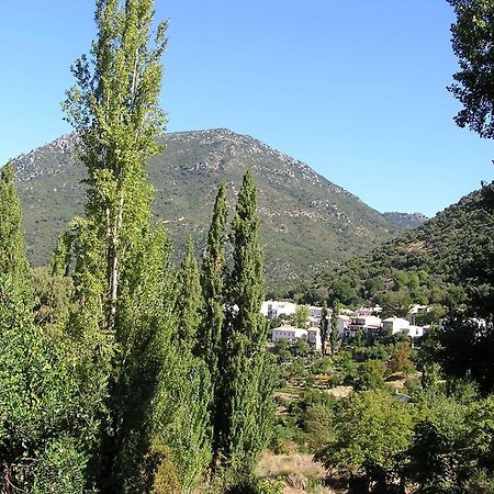 Napaimbe Sierra Appartement Benamahoma Buitenkant foto